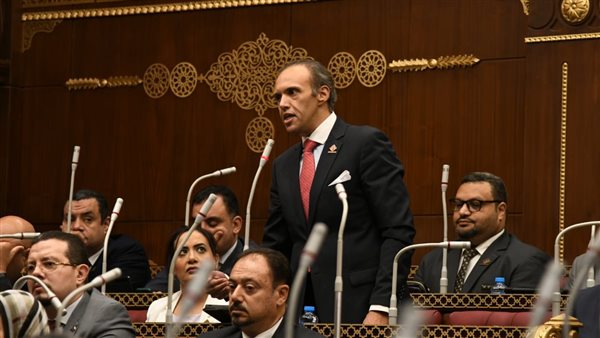 النائب محمد فريد