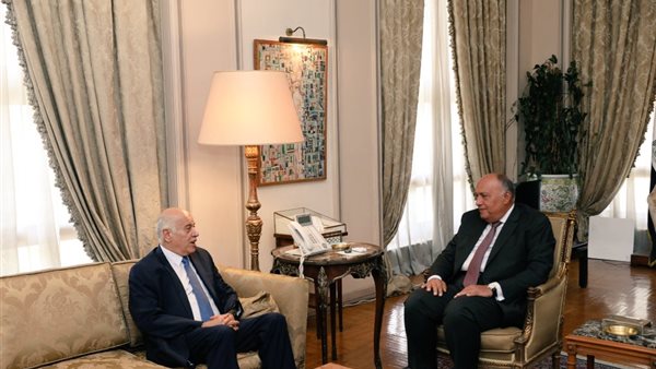 شكري يستقبل أمين