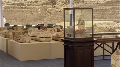 بعد اكتشاف 250 تابوتًا.. مصدر بالآثار يكشف موعد بدء الحفائر الجديدة بسقارة 