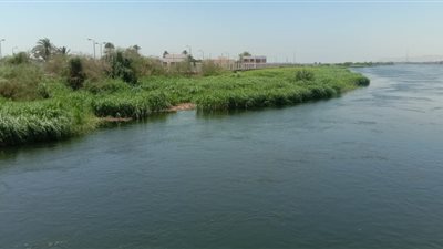 مصدر: تشغيل محطة مياه شطورة السطحية بسوهاج فور اختفاء بقعة السولار| صور 