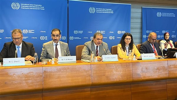 محمد سعفان وزير القوى