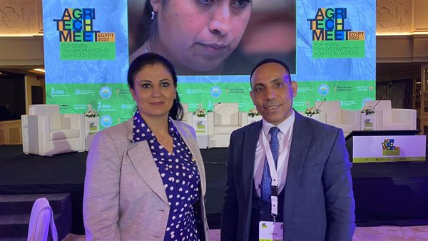 دينا صالح المدير