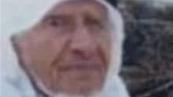 المناضل السيناوي