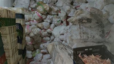 ضبط 46 طن لحوم ودواجن غير صالحة للاستخدام الآدمي بالجيزة |صور