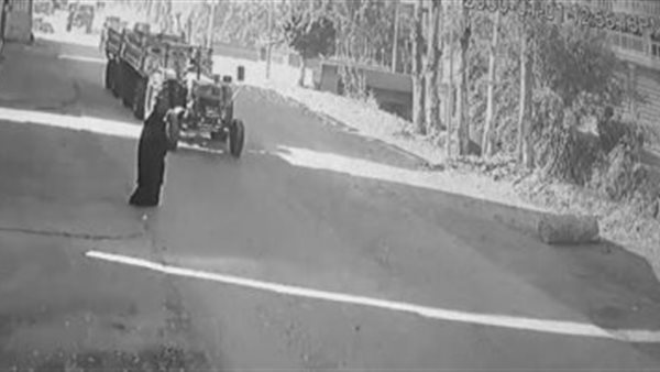 جريمة الدقهلية 