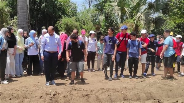 مبادرة زراعة 60 شجرة