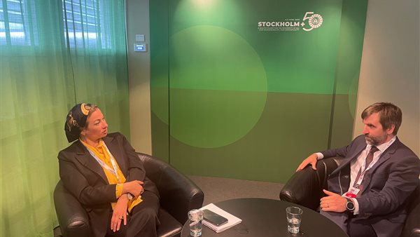 الدكتورة ياسمين فؤاد