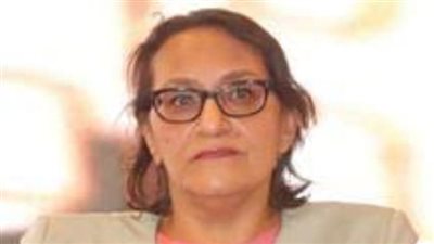 خبيرة أسواق المال: زيادة الصناديق الاستثمارية في مصر تدفع بنشاط السوق العقاري لـ 80%