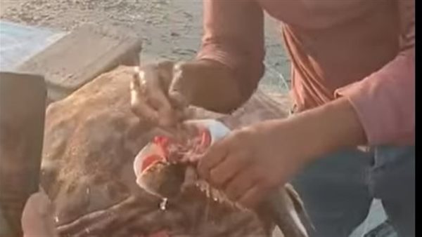 صورة تعبيرية 