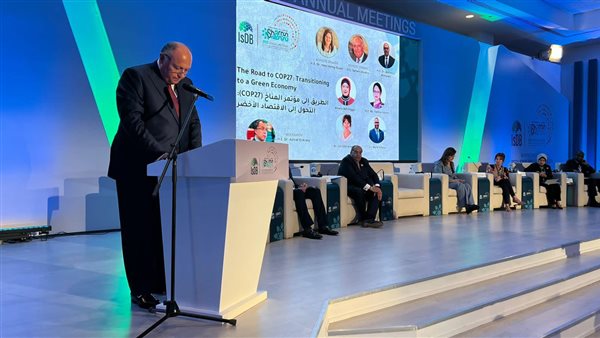 وزير الخارجية سامح