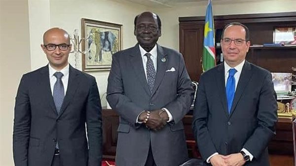 السفير المصري ووزير