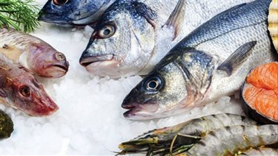 أسعار الأسماك والمأكولات البحرية اليوم الاثنين 19 - 9 - 2022