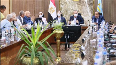 محافظ كفر الشيخ: توريد القمح أمن قومي والانتهاء من 3 محطات صرف صحي