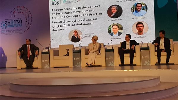 الدكتور محمد معيط