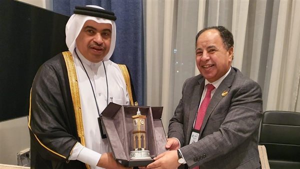 وزير المالية المصري