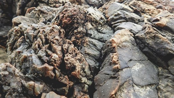  موارد الأرض