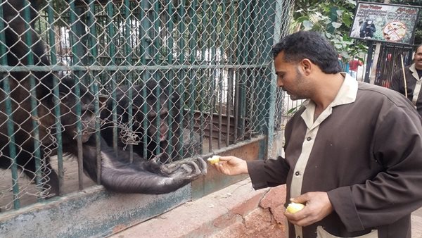 حدائق الحيوان