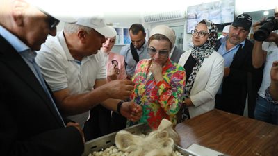 بتكلفة 16 مليون جنيه.. وزيرة البيئة تعلن وضع حجر الأساس لمحطة الطاقة الشمسية بالوادي الجديد| صور 