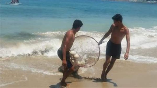 شواطئ الإسكندرية