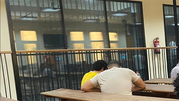 قضية اللجان النوعية