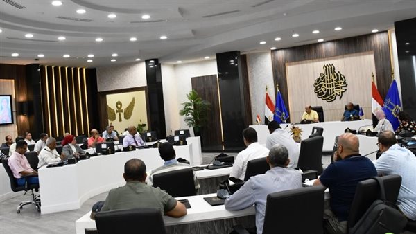 محافظ أسوان