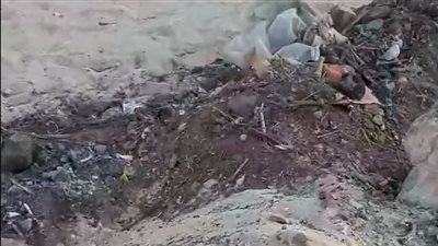 صاحب فيديو التعدي على المقابر بأسيوط: ميعرفوش إن في أموات مدفونة والمشكلة اتحلت