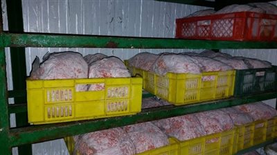 التحفظ على ربع طن لحوم مجهولة المصدر في حملة على المطاعم بالشرقية