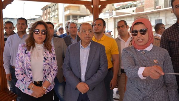 اللواء محمود شعراوي