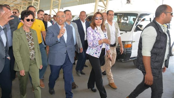 اللواء محمود شعراوي