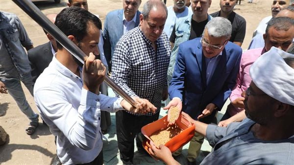 توريد محصول القمح