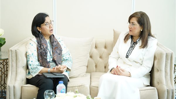 وزيرة التخطيط تلتقي