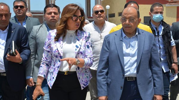 اللواء محمود شعراوي