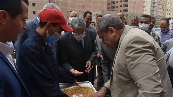 محافظ المنيا 