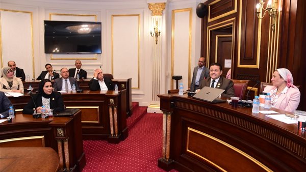 الدكتورة ياسمين فؤاد