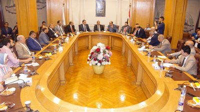 محمد إسماعيل رئيسًا لشعبة المستلزمات الطبية بالتزكية