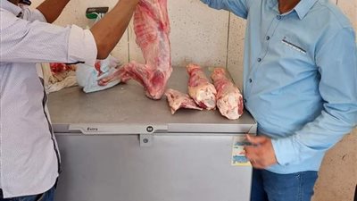 ضبط جزار ذبح بقرة مريضة بالحمى وسلخ جنينها في سوهاج | صور