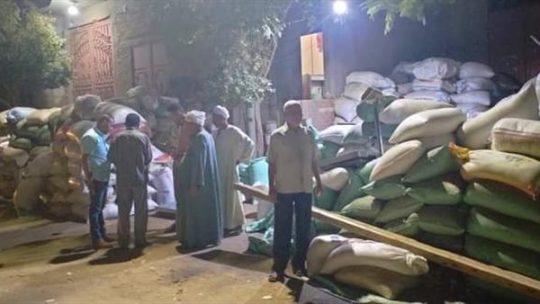 القمح المضبوط