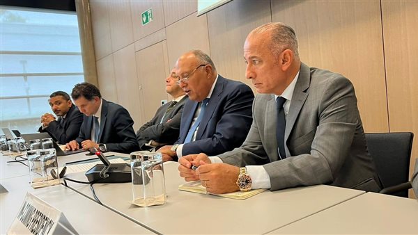 سامح شكري وزير الخارجية