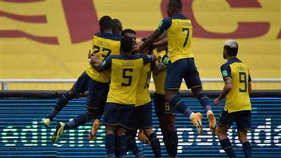 تقارير.. فيفا تقرر استبعاد الإكوادور من مونديال قطر 2022