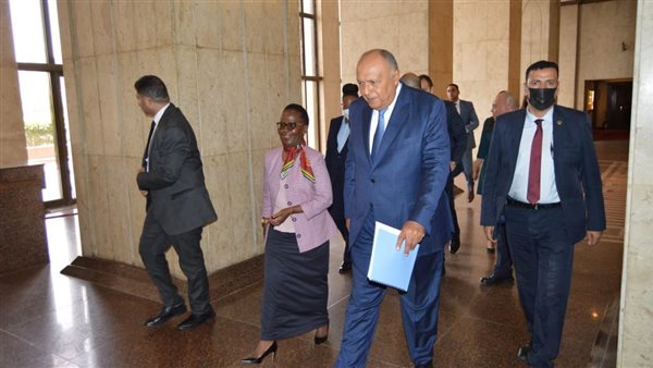 شكري يستقبل نظيرته