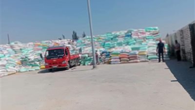 توريد ما يقرب من 292 ألف طن قمح لصوامع وشون الدقهلية