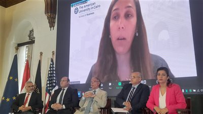  رئيس الجمعية المصرية لدراسات الهجرة: 31 مليار دولار سنويًا متوسط تحويلات المصريين بالخارج