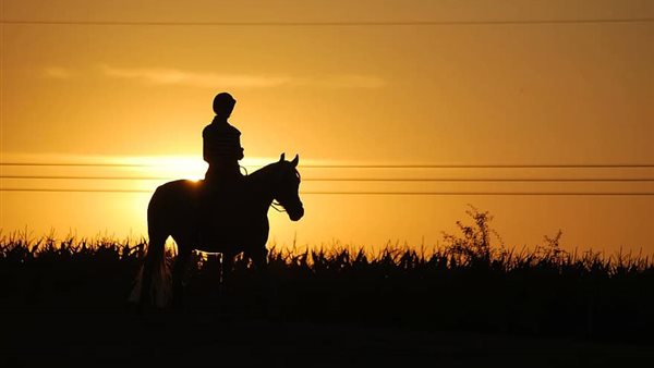 صورة تعبيرية