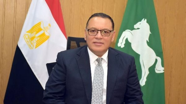 محافظ الشرقية