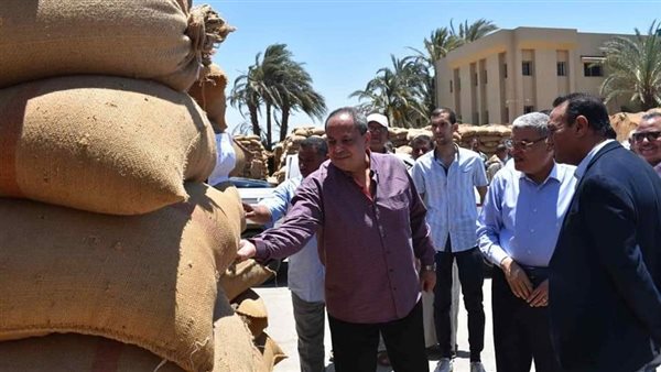 محافظ المنيا 