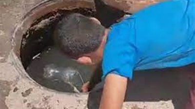 أزهري عن واقعة البلاعة المبروكة: هوس في العقل الجمعي