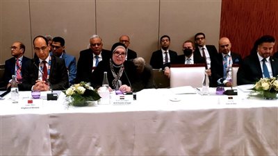 وزيرة الصناعة: ضرورة وضع أجندة تجارية عربية طموحة لتلبية احتياجات الدول الأقل نموا