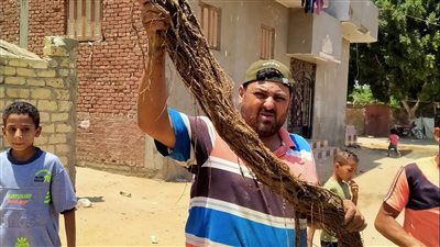 مجسات لاستخراج جذور الأشجار من مواسير المياه بالسويس والإسماعيلية وبورسعيد | صور 