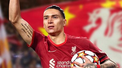 ليفربول يحسم صفقة داروين نونيز مهاجم بنفيكا