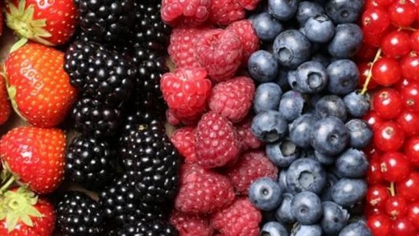 فوائد التوت البري